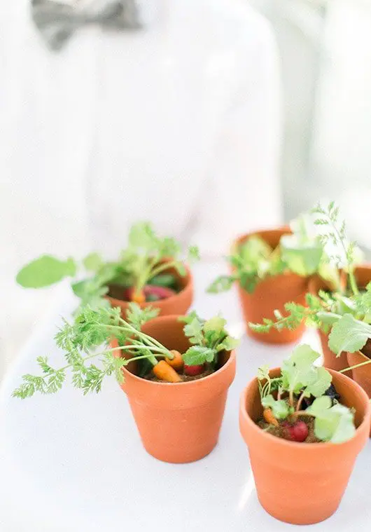 Vegetables in a pot | Lisa Dupar Catering | Wedding & Event Catering in Seattle