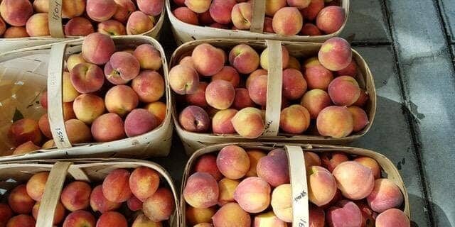 Several baskets filled with ripe peaches are arranged on a gray tiled surface, echoing the fresh, vibrant ingredients often featured by Lisa Dupar Catering Seattle.