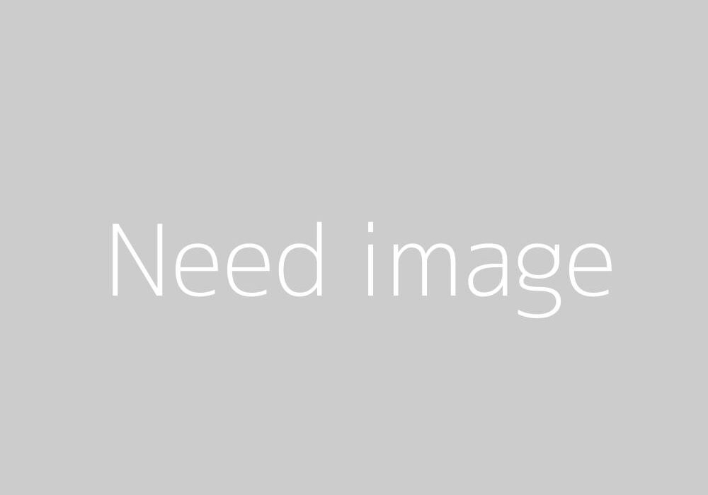 Gray placeholder image with the words "Need image" written in the center in light text.